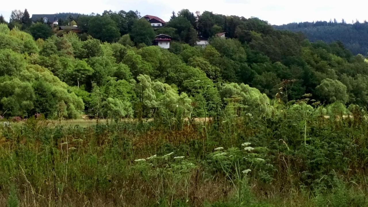 Ferienhaus Im Ederbergland Villa Hatzfeld Bagian luar foto